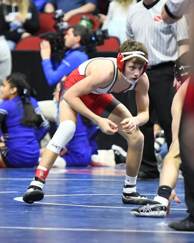 Forest City wrestling at state