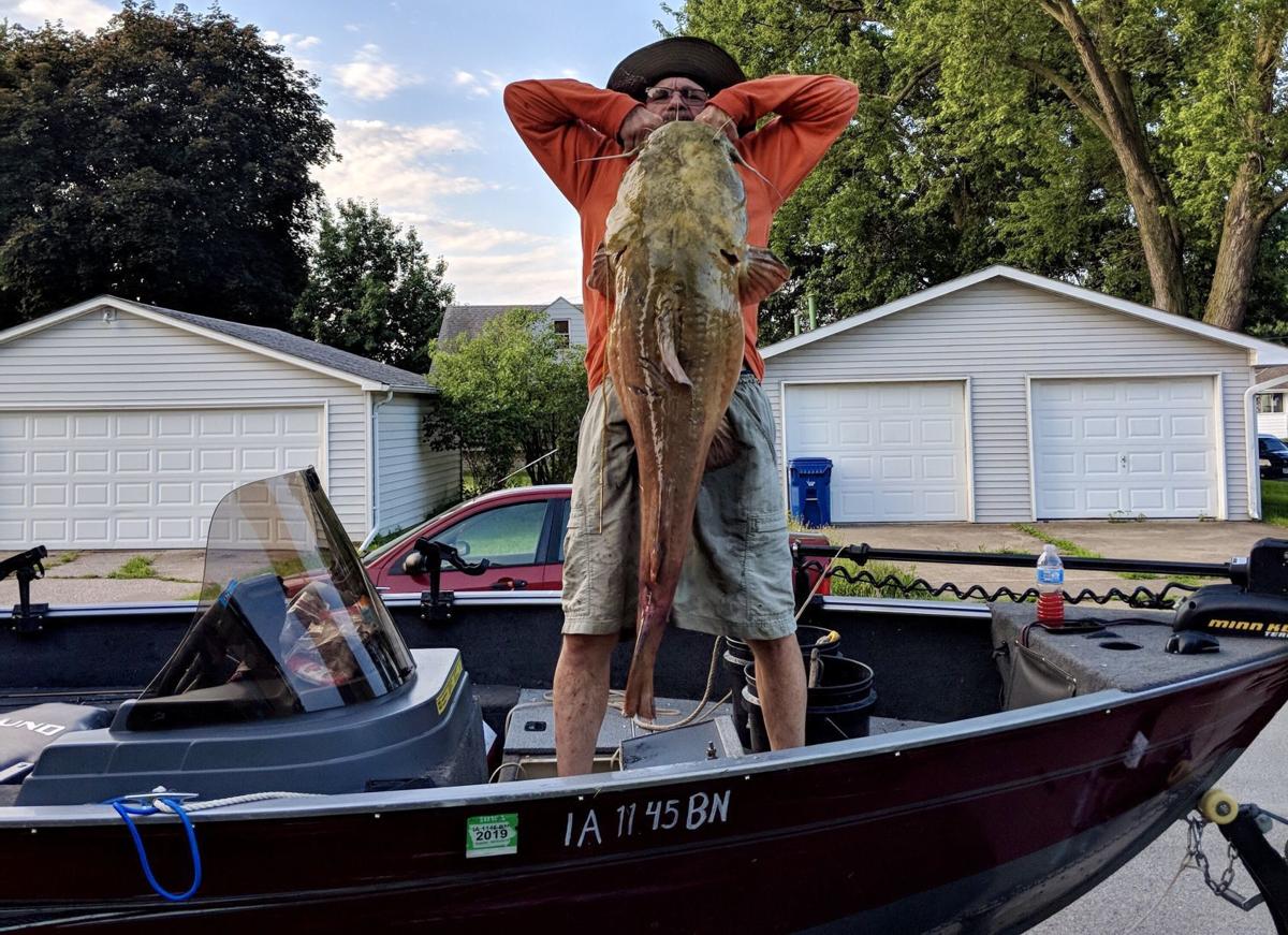Big catfish