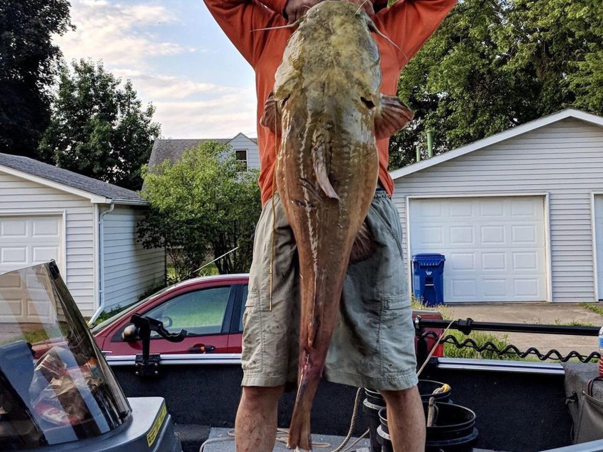 Iowa Angler Lands 55 Pound Catfish With Photos Iowa The