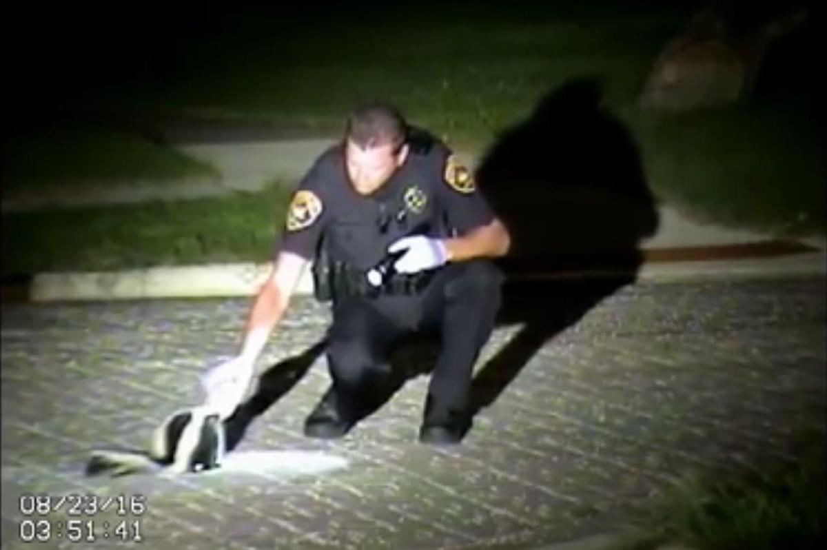 Video Charles City police officer helps skunk in a jam