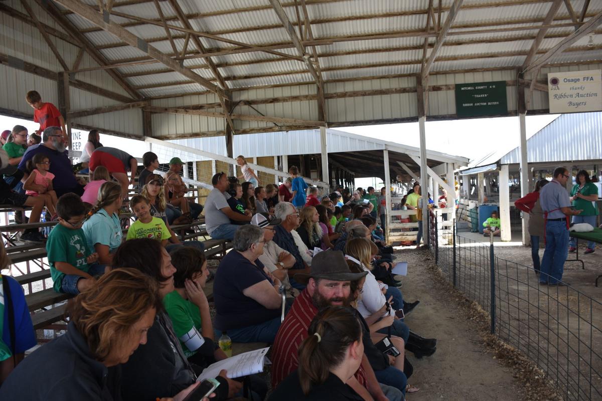 Mitchell County Fair goes virtual; events schedule set