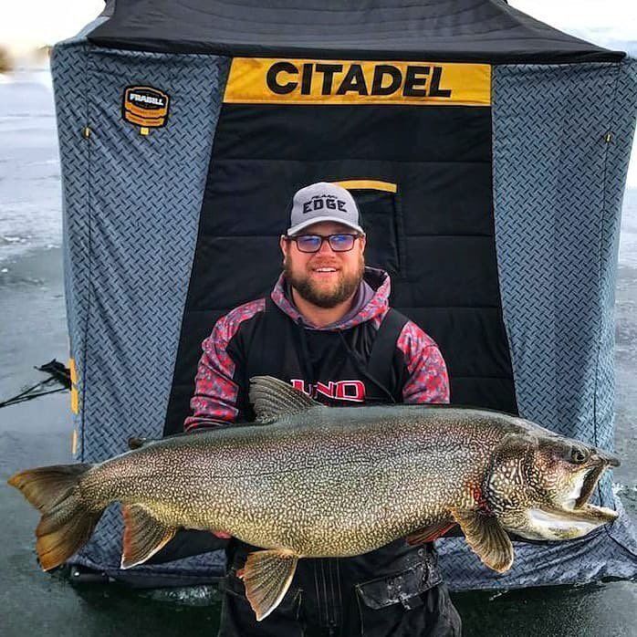 Lake Trout