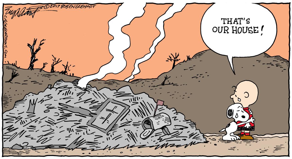 Political cartoons: CHIP, fires, fracking, Saudi drivers, Hollywood | Columnists | globegazette.com