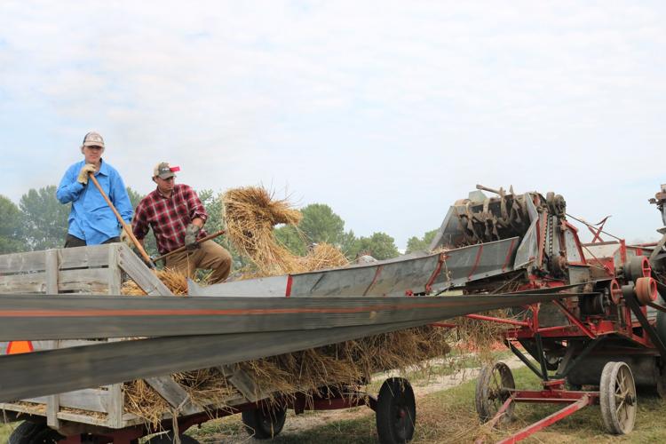 Volunteers and steam school students received lots of first-hand experience on traditional steam threshing Aug. 4-6 at Heritage Park..JPG