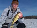 South Dakota perch