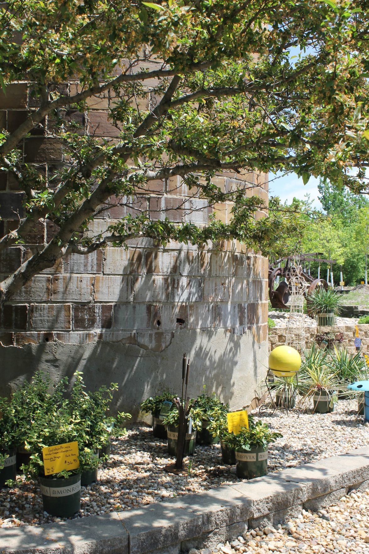 In Business Clear Lake Nursery Enters 41st Year Of Growing In Business Clear Lake Nursery Enters 41st Year Of Growing