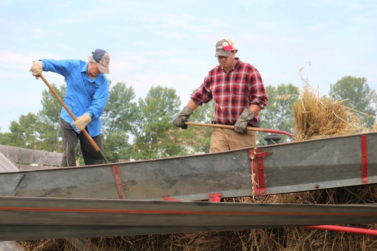 Volunteers are shown on a flat rack with pitch forks in hand during the Heritage Park Steam Threshing Festival..JPG