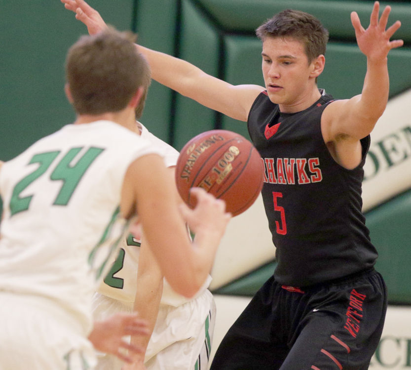 North Iowa area boys basketball capsules