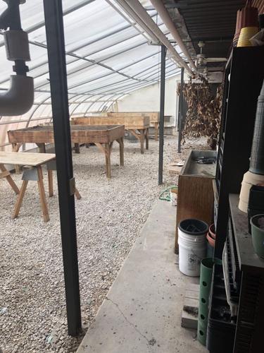 WHHS Current Greenhouse Inside.png