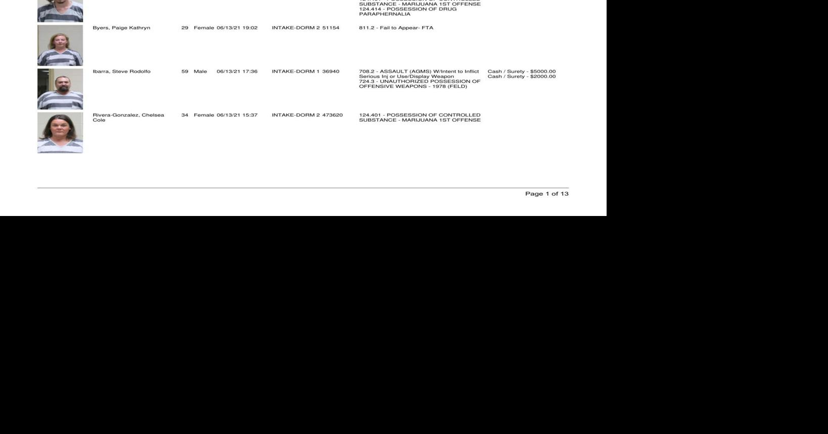 Cerro Gordo County Jail log for June 14