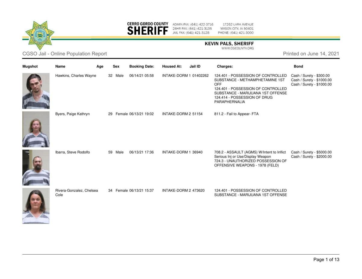 Cerro Gordo County Jail log for June 14