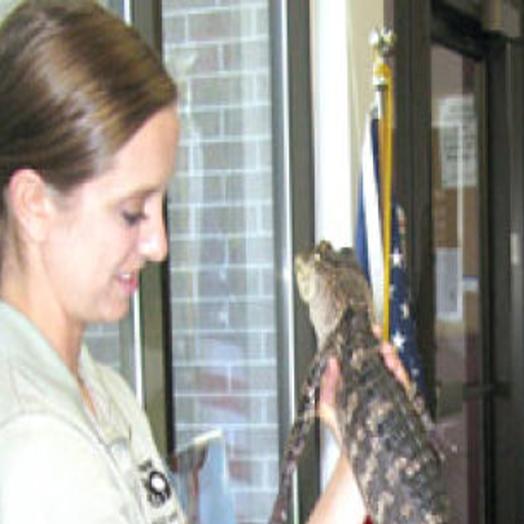 Blank Park Zoo Animals Visit Sheffield Library Mason City North Iowa Globegazette Com