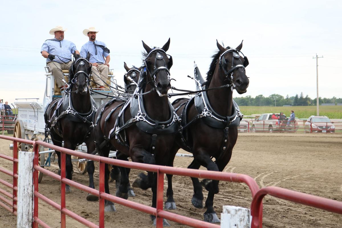 Photos 2019 Britt Draft Horse Show Saturday Performance Show