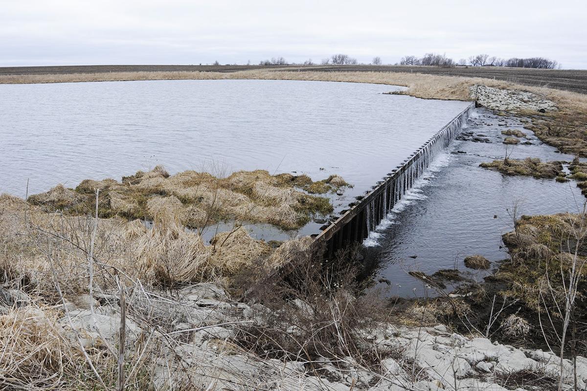 North Iowa CREP site