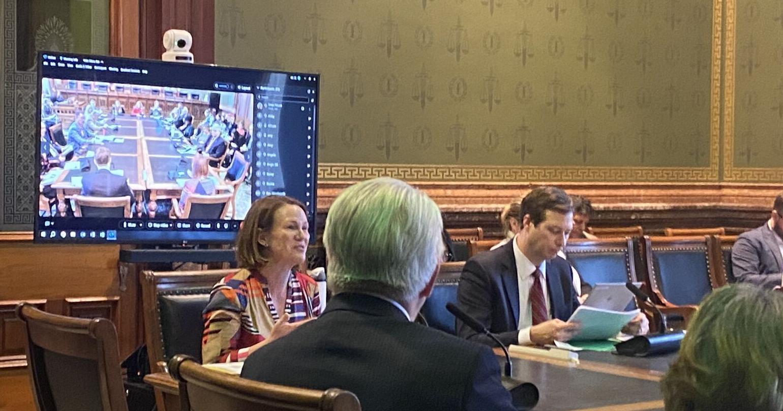Health officials outline efforts to reduce maternal deaths in Iowa - Vimarsana News