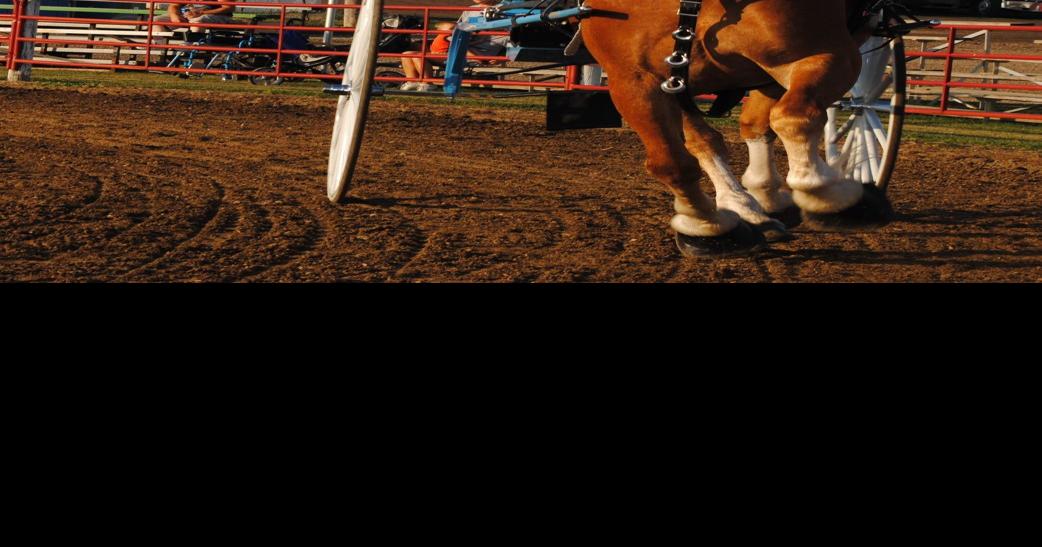 to the 34th annual Britt Draft Horse Show