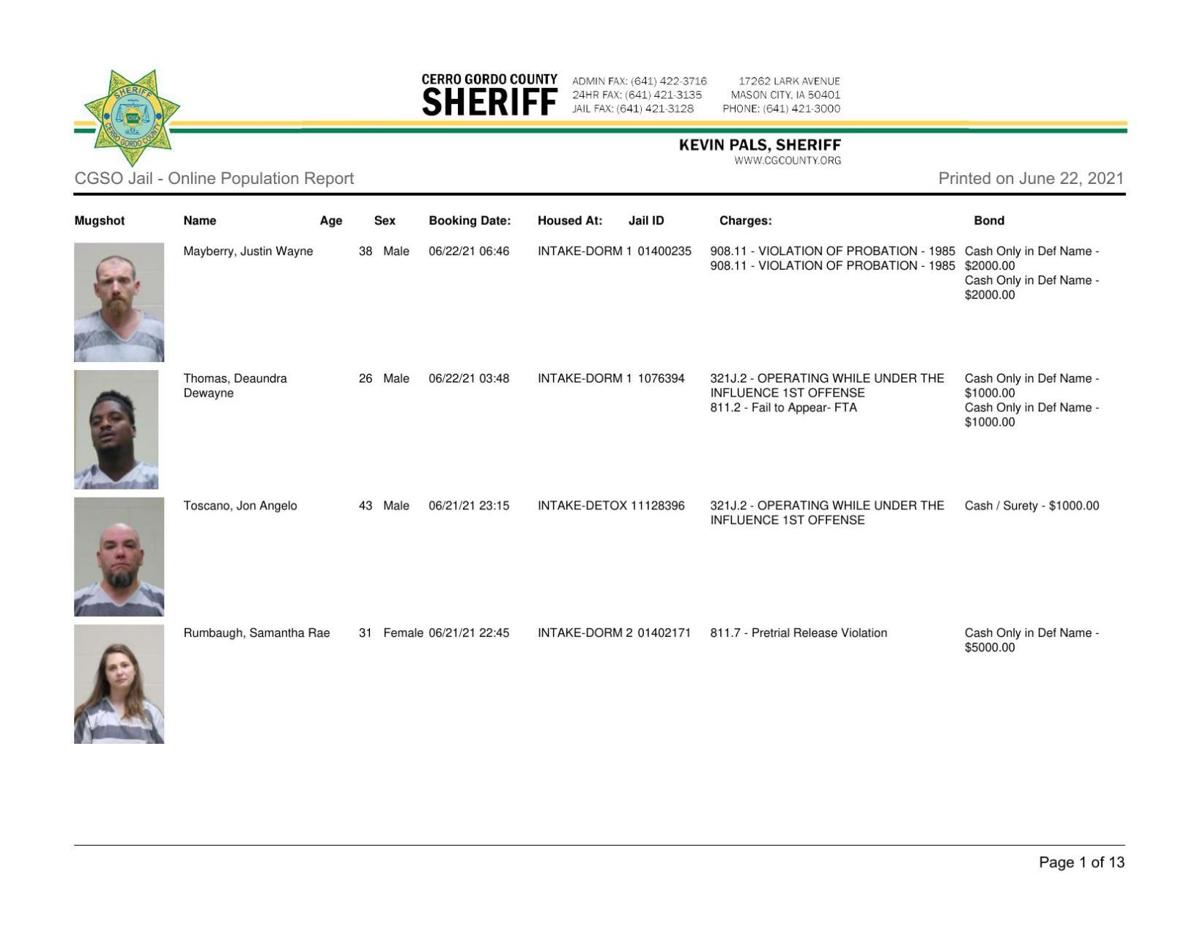 Cerro Gordo County Jail log for June 22