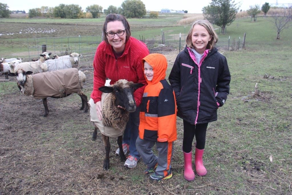 Titonka family raises rare sheep