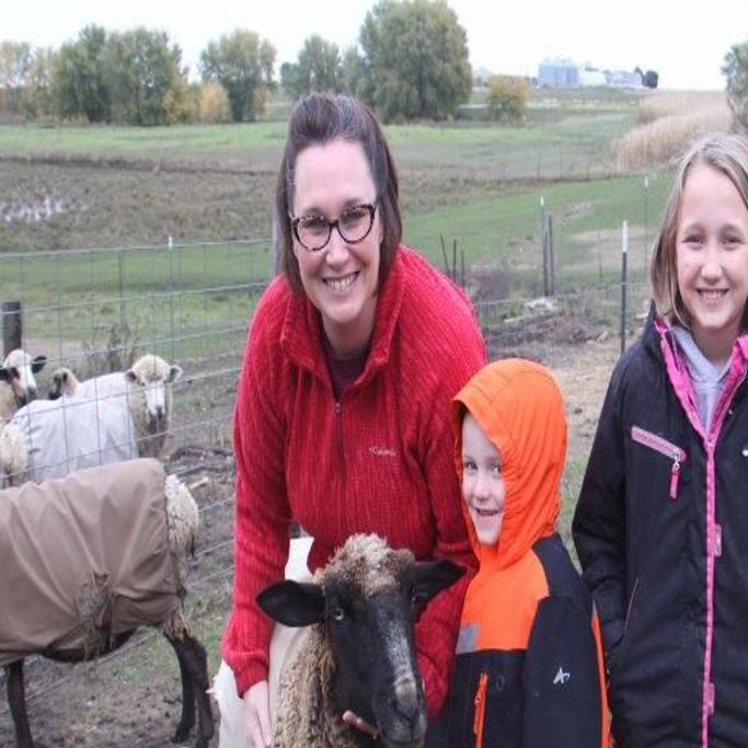 Titonka Family Raises Rare Breed Of Sheep News Globegazette Com