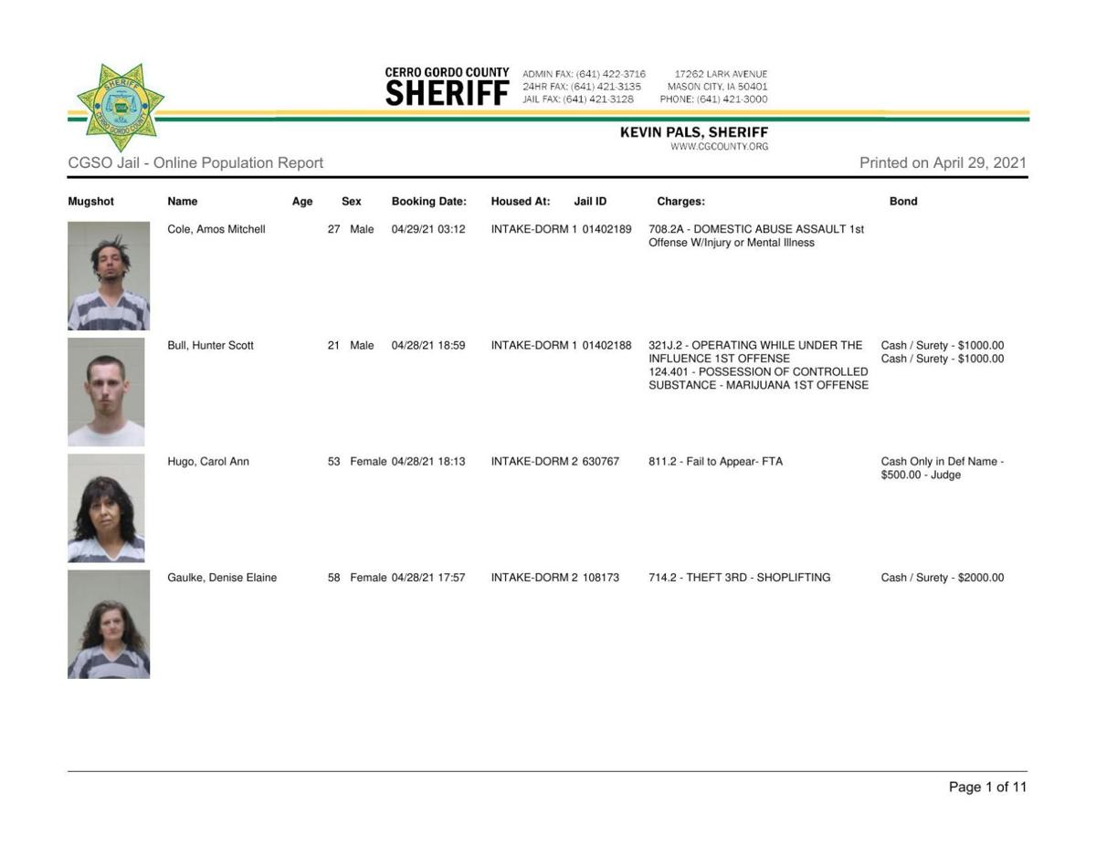 Cerro Gordo County Jail log for April 29
