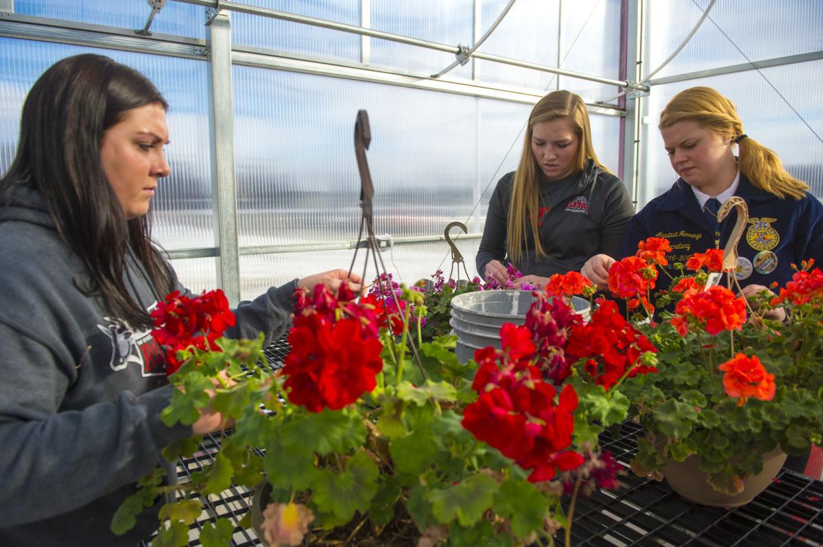New GarnerHayfieldVentura greenhouse prepares future ag leaders