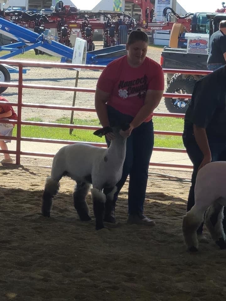 Hancock County District Fair starts July 27 with more events, exhibits