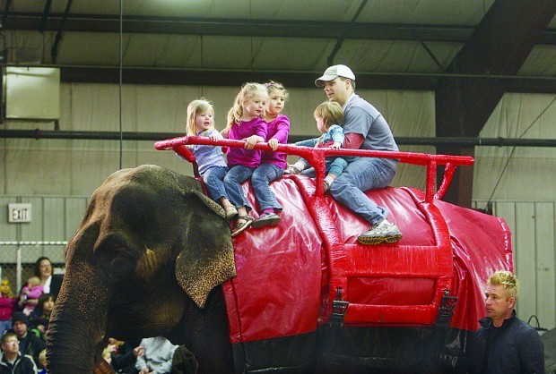 Elephant Ride Globegazette Com