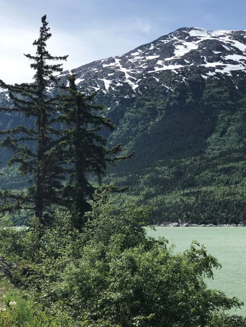 Eagle's view in Skagway, Alaska