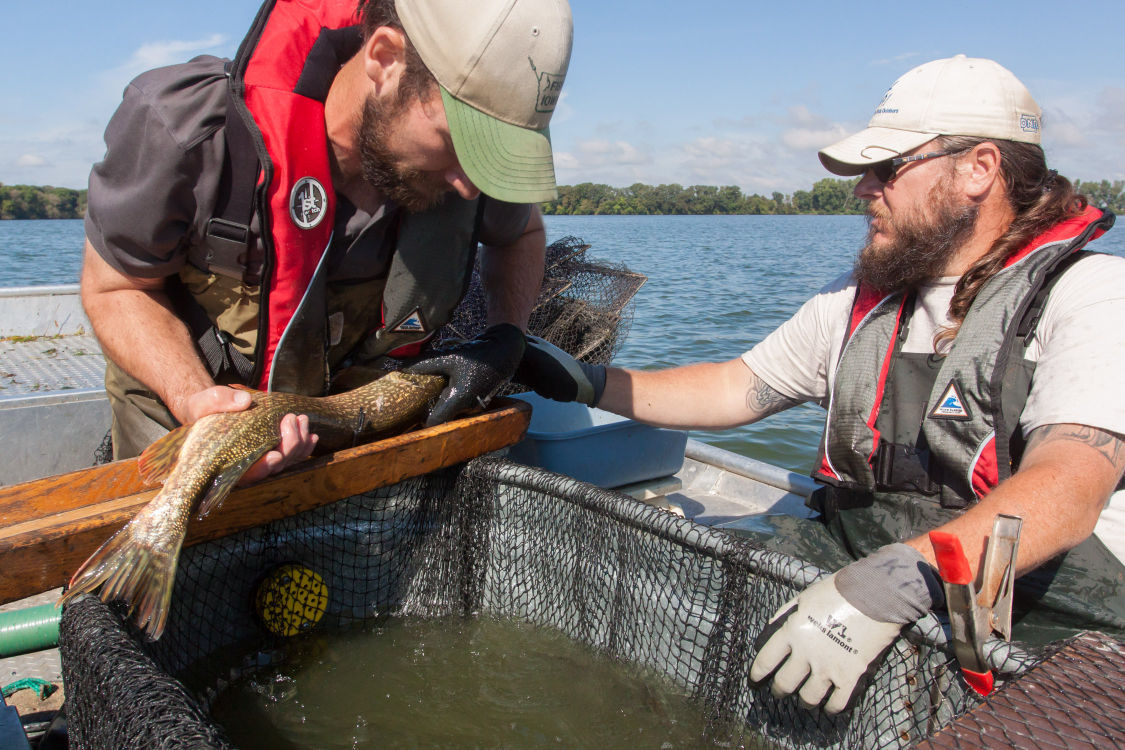 Fish survey at Crystal Lake shows betterthanexpected results