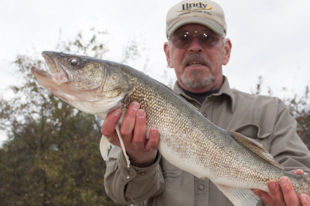 Angler Reels in Monster Muskie From Minnesota Lake, Garners State