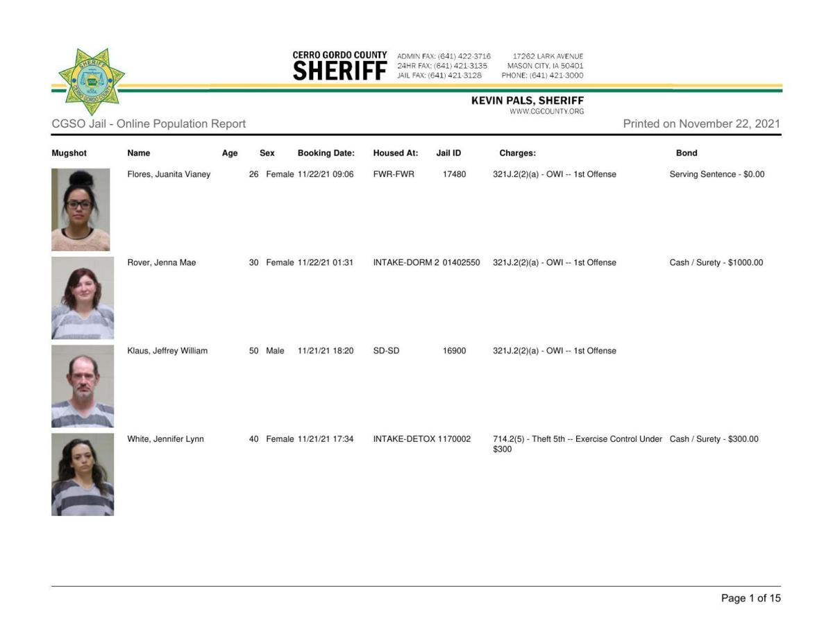 Cerro Gordo County Jail log for Nov. 22