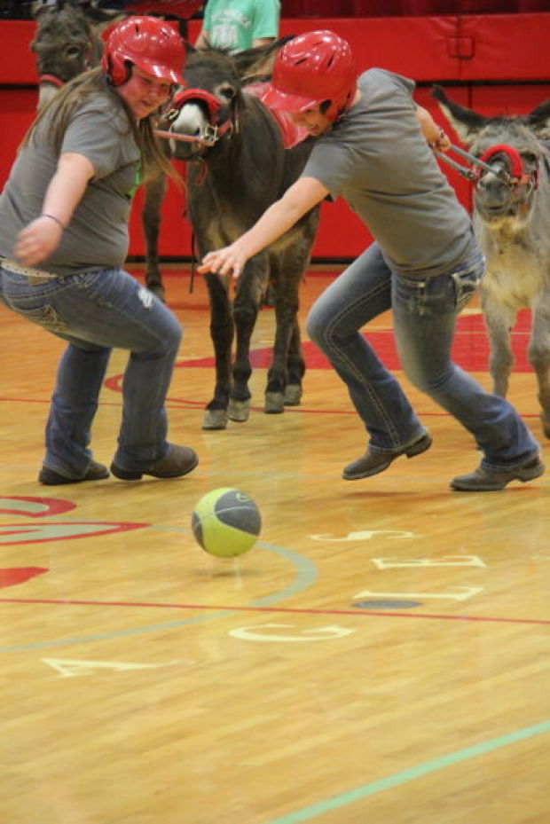 Donkey ball entertains audience Britt News Tribune