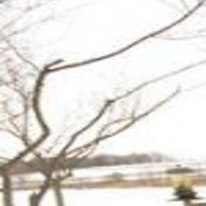 No Horses Needed For This Carriage Mason City North Iowa