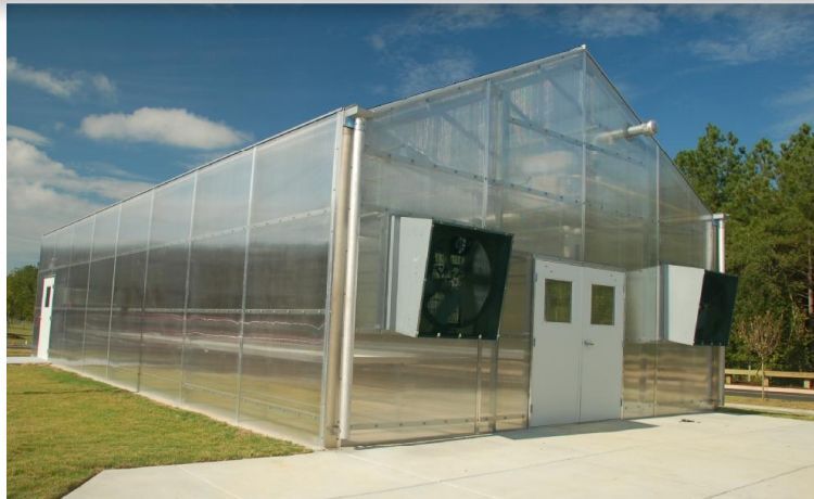 Stuppy Greenhouse.png