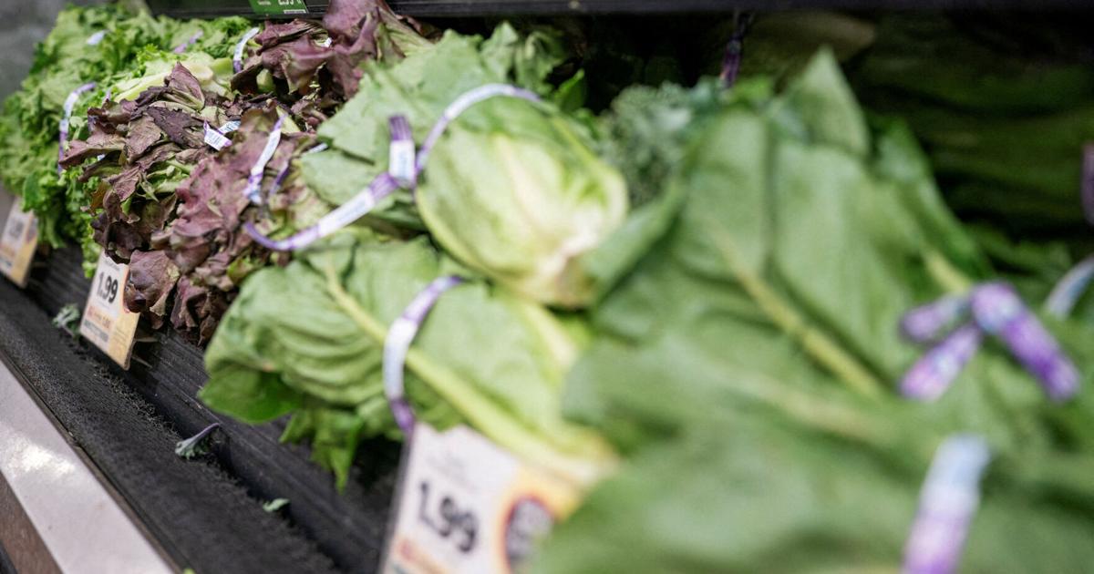 US diners avoid restaurants as cyclosporiasis fears cut lettuce sales Tom Polansek and Anuja Bharat Mistry Reuters Aug 1, 2026 3 mins ago