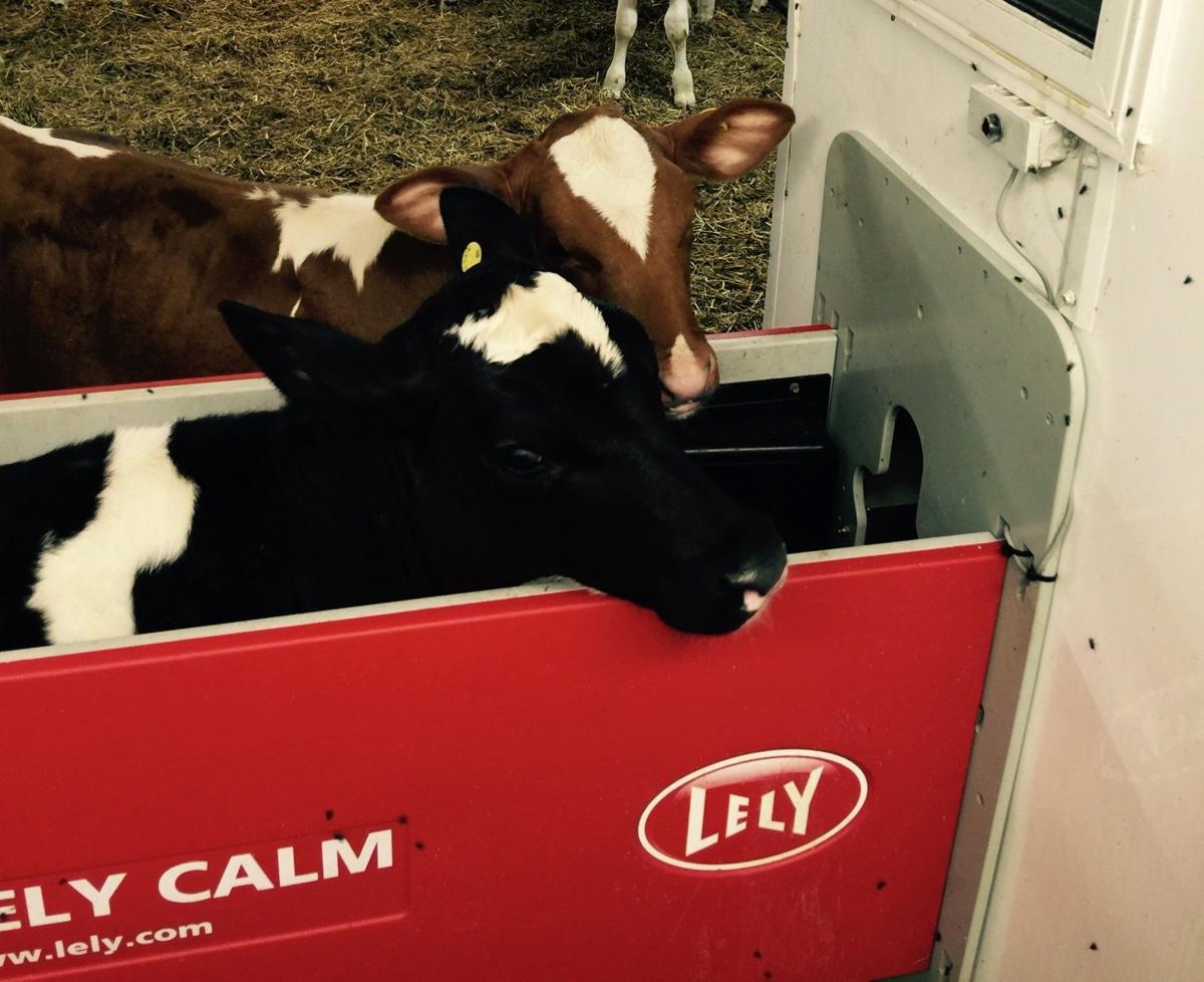 Robots In The Dairy Barn Mitchell County News Globegazette Com