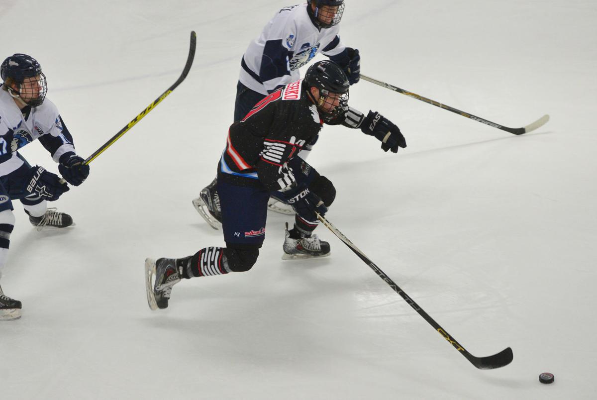 Hockey Bulls vs. Peoria 04