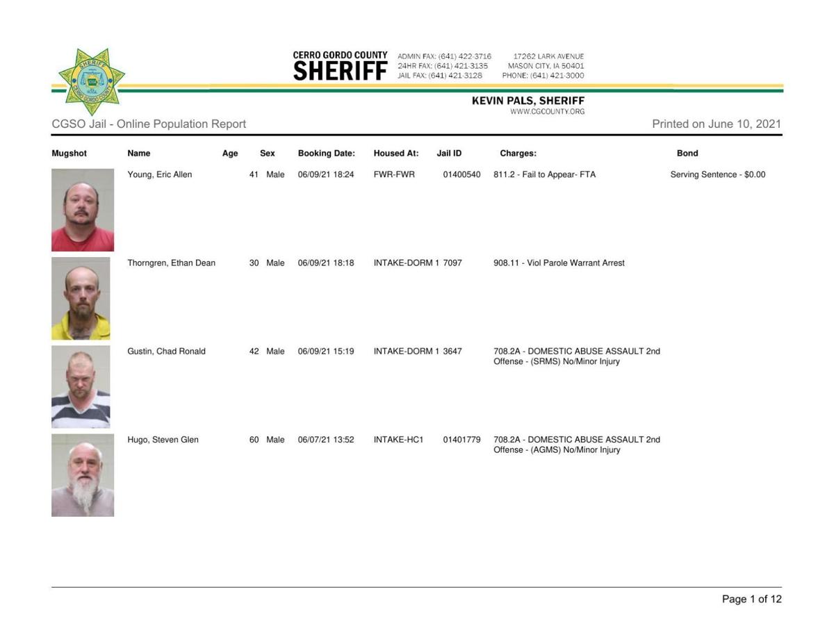Cerro Gordo County Jail log for June 10