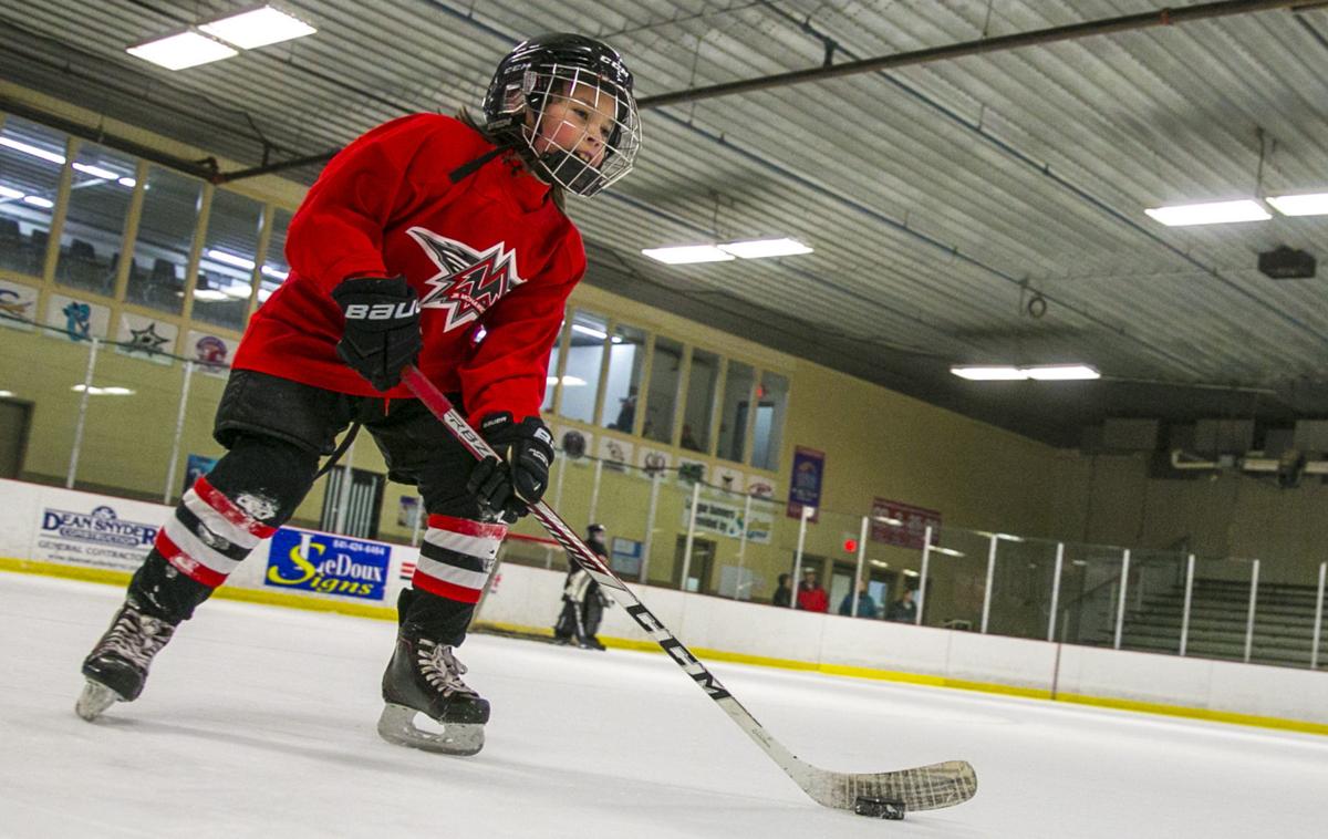 Youth Hockey Arena Project advances, as youth team orders boards