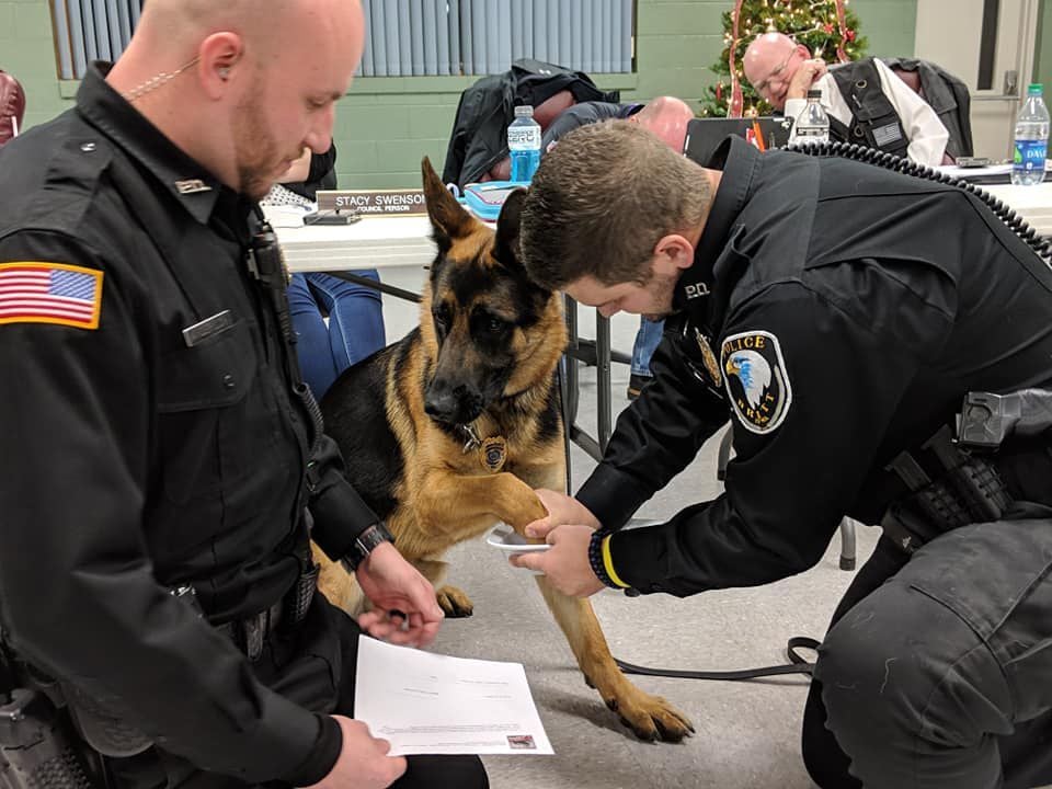 Westerly police retire police dog Niko, introduce Damon after Bruno  promoted to sergeant, Westerly