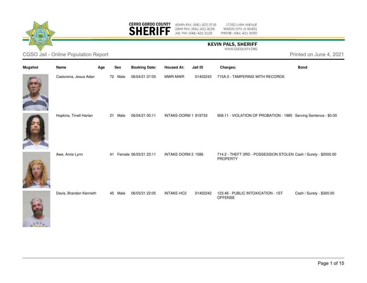 Cerro Gordo County Jail log for June 4