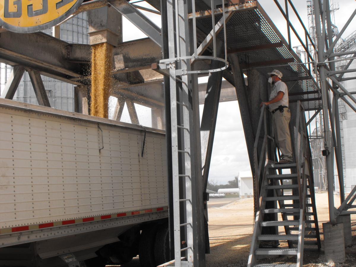 Osage Coop Elevator gearing up for bean harvest (with photos)