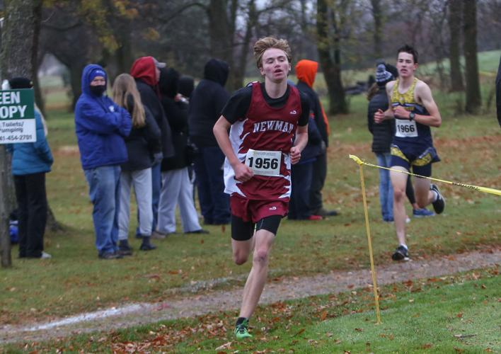 Central Springs SQM cross country - Ringo