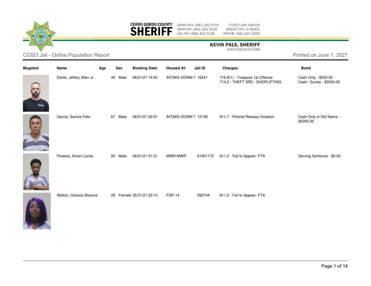 Cerro Gordo County Jail log for June 1