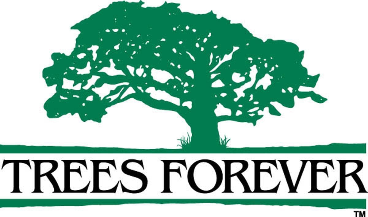 Osage City Council hears Trees Forever update Latest Local News
