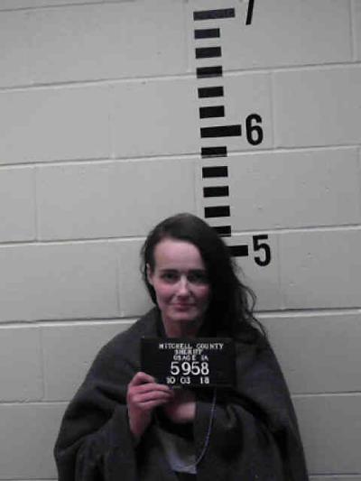 St Ansgar woman who assaulted officer gets probation