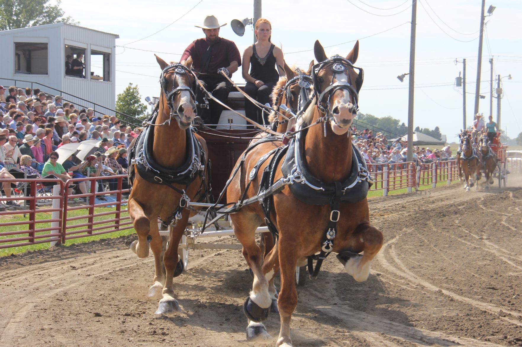 Welcome to the 36th annual Britt Draft Horse Show