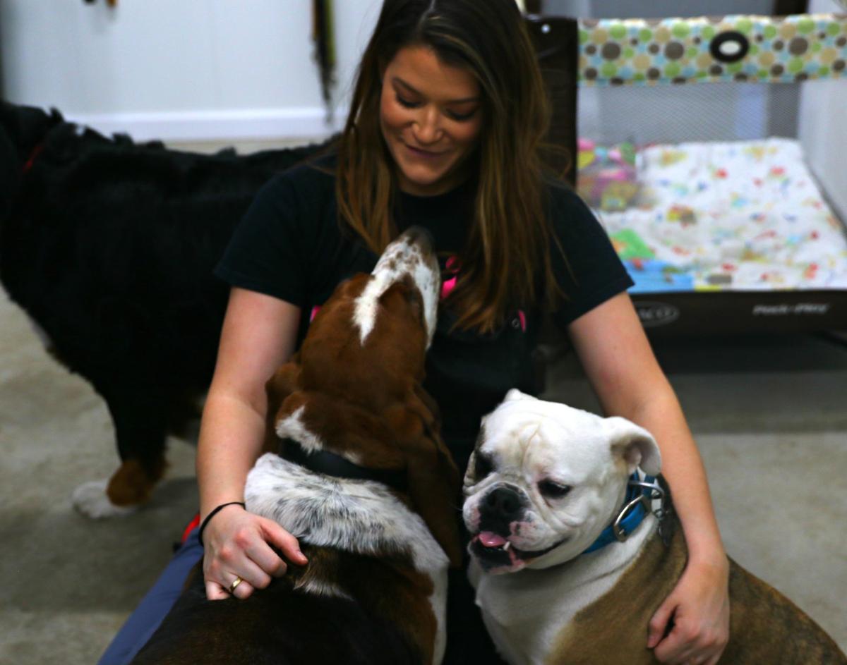Pretty Paws: Wesley native grows animal grooming, boarding business in