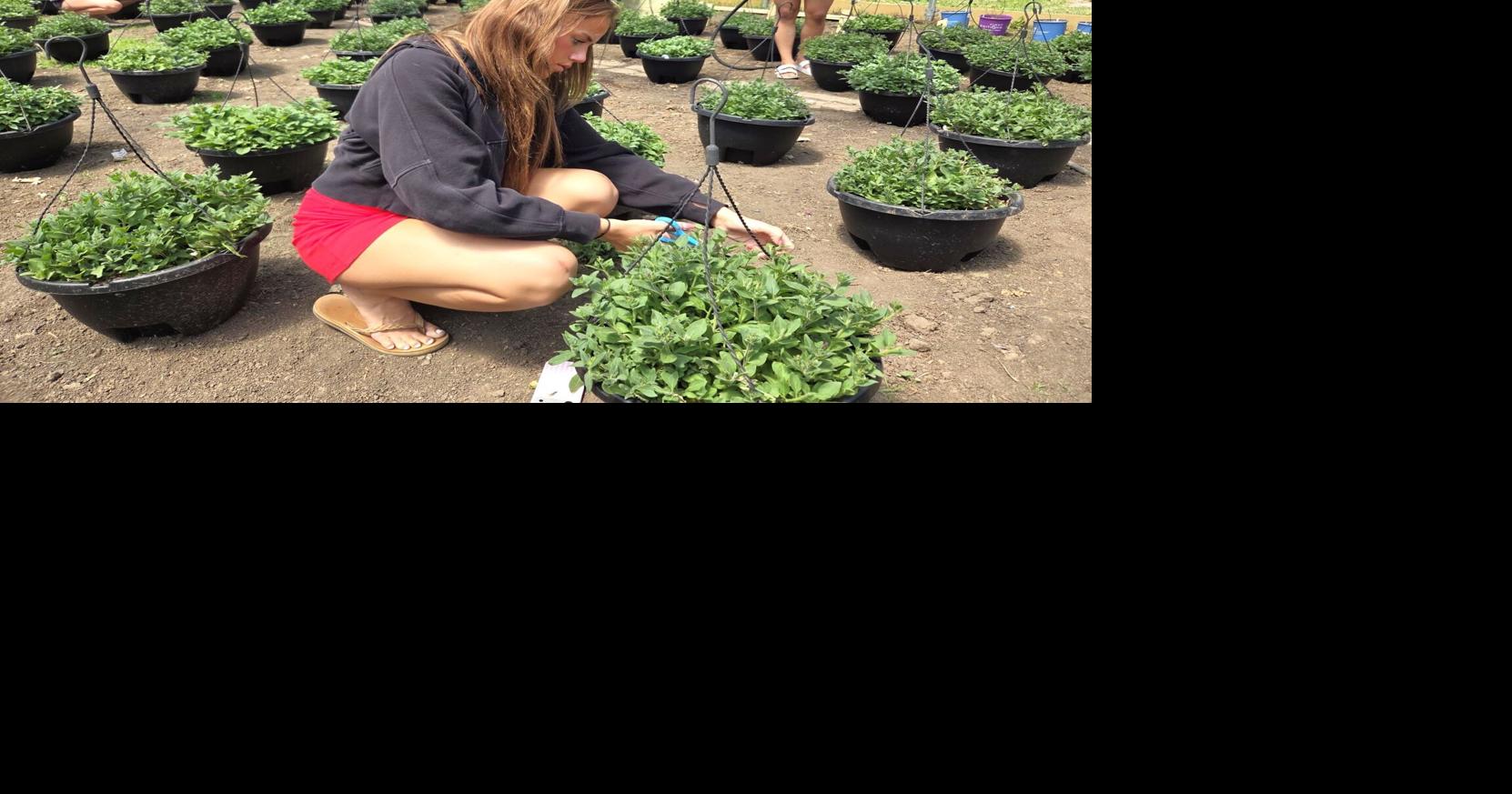 In case you missed it: Horticulture program at Clear Lake School District is growing