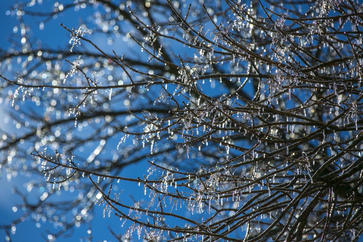 Photos North Iowa Snow Totals Mason City North Iowa